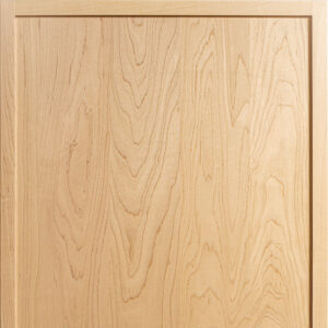 Vulcan door